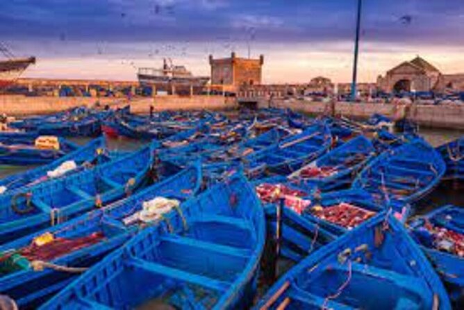 1 Day Private Trip From Marrakech to Essaouira - Trip Details
