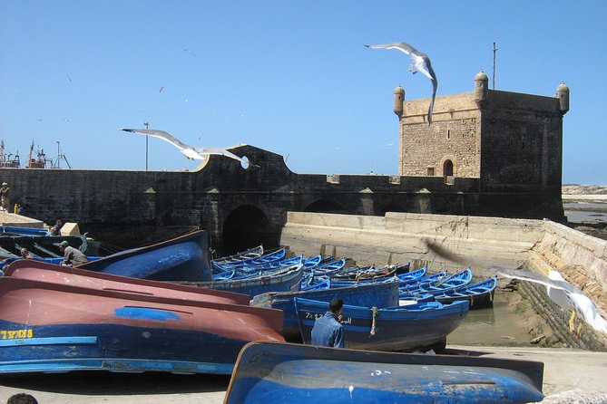 1 Day Private Trip From Marrakech to Essaouira - Additional Information and Support