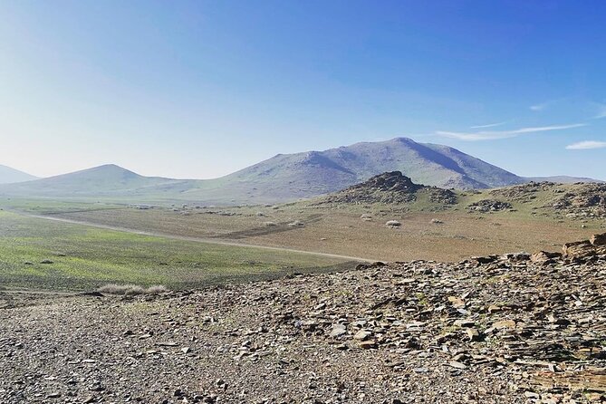 1 Day Quad Marrakech Palmeraie Desert Jbilet - Meeting and Pickup
