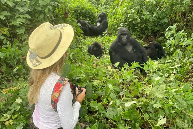 1 Day Rwanda Gorilla Trekking Tour In The Volcanoes National Park - Directions