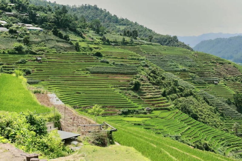 1-Day Sapa Long Trek - Rice Field Terrace, Ethnic Culture - Practical Details & Tips