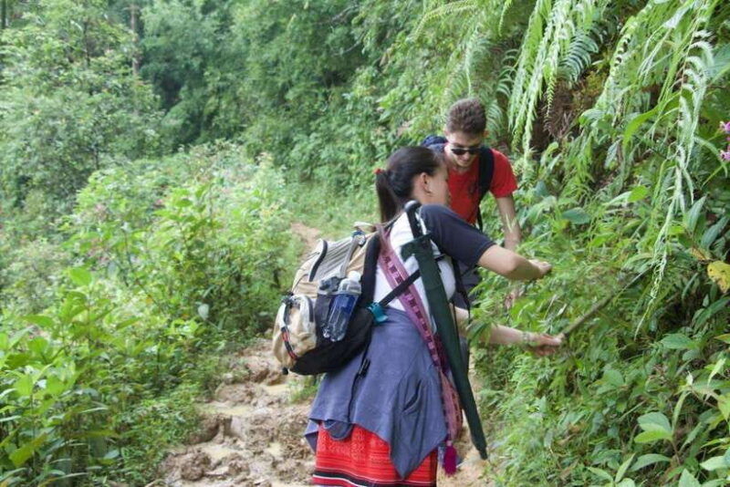 1 Day Sapa Trek&Home-cooked Lunch HmongSisterHouse&Trekking - Itinerary Highlights
