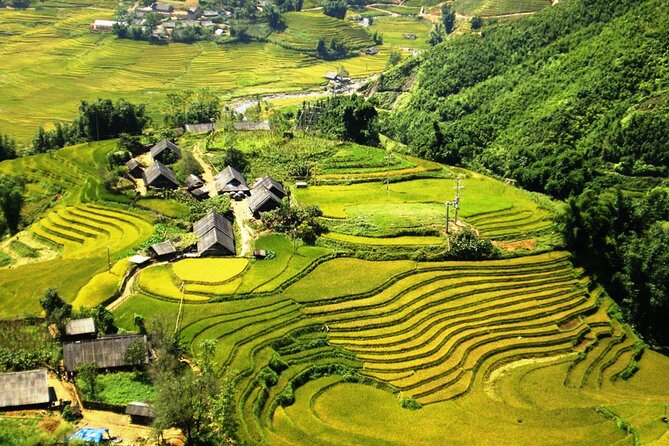 1 Day Sapa Trekking To Lao Chai and Ta Van Village - Common Questions