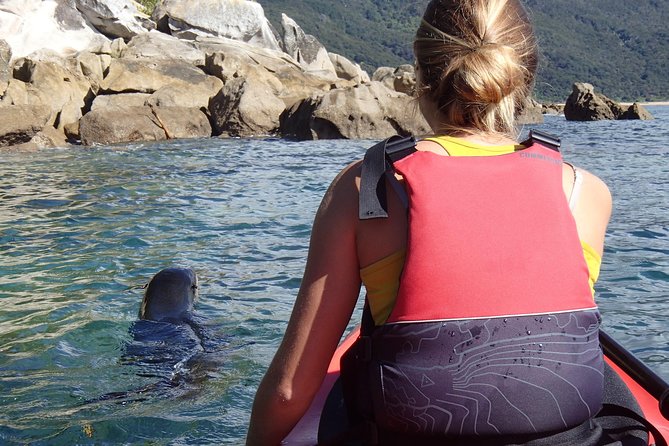 1 Day Sea Kayak Rental - Traveler Reviews