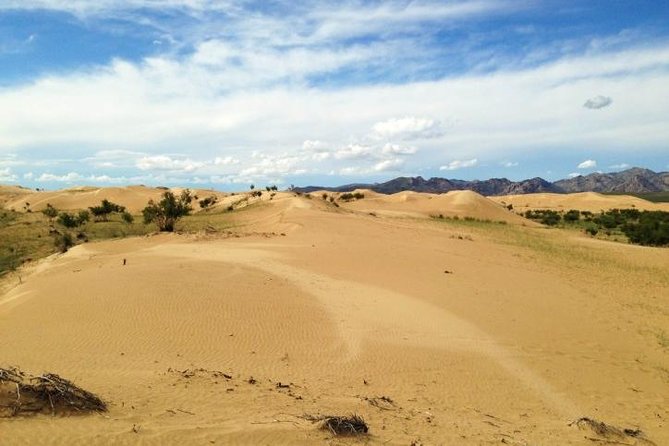 1 Day Semi-Gobi Tour Including Lunch And Free Camel +Bonus Khustai National Park - Cancellation Policy and Refund Details
