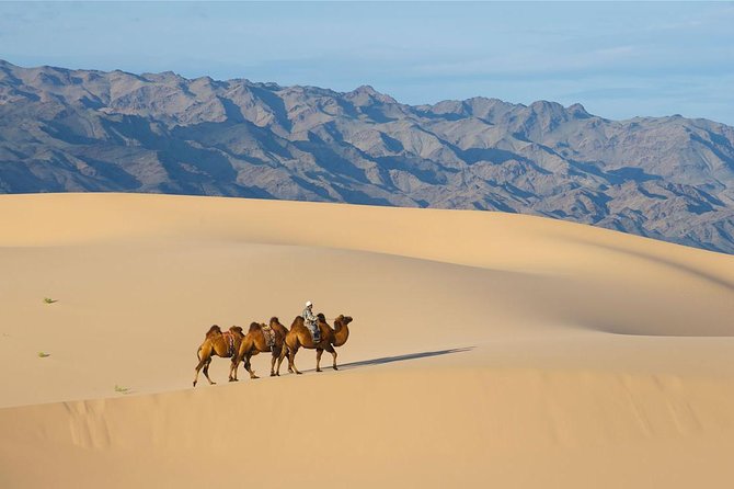 1 Day Semi-Gobi Tour With Lunch and Enjoying Camel or Horseback - Booking and Confirmation Details