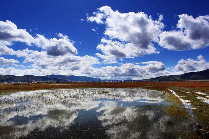 1-Day Shangri-La Tour With Ganden Monastery, Napahai Lake and Tibetan Town - Itinerary Highlights