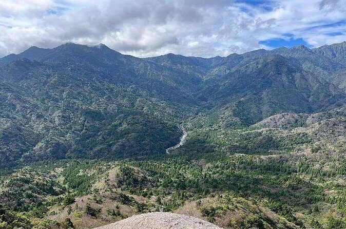 1 Day Shiratani Unsuikyo Adventure - Who Will Love This Tour?