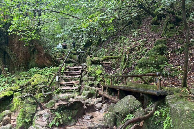 1 Day Shiratani Unsuikyo Adventure - The Sum Up