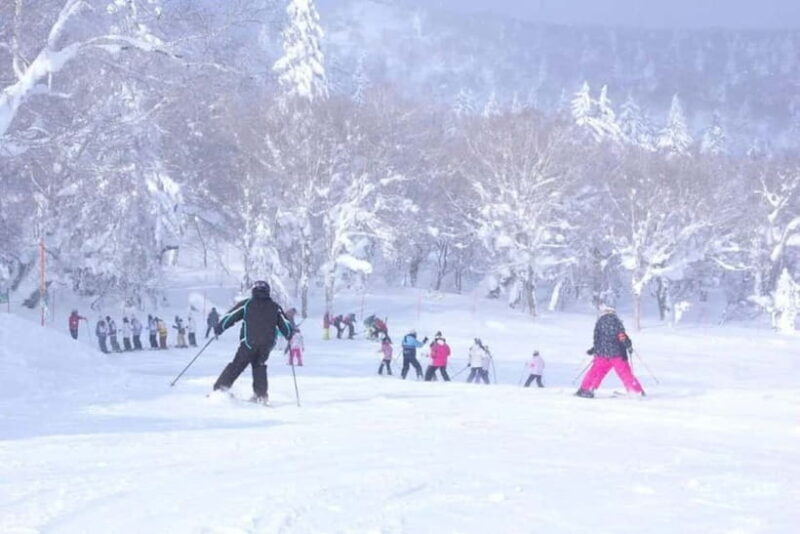 1-Day Ski Tour Package from Sapporo Station - An In-Depth Look at the Tour Experience