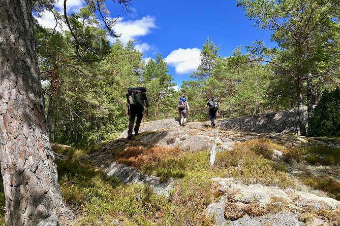 1-Day Small-Group Stockholm Nature Summer Hiking - Additional Info