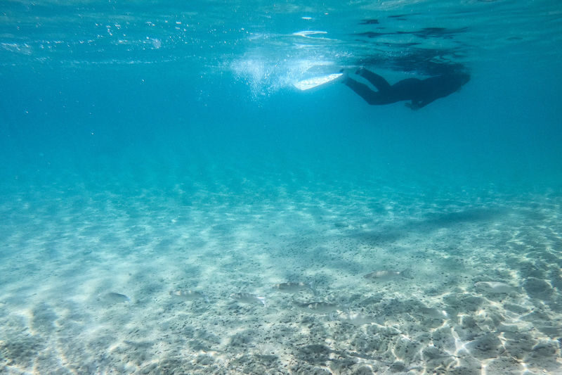 1 Day Snorkel Diver License Course in Okinawa - What the price includes, and what it does not