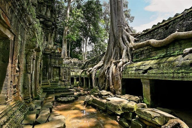 1 day special Tour: Angkor Wat,Bayon,Ta Prohm, Bantey srei and Beng Mealea - Transportation, Guides, and Value