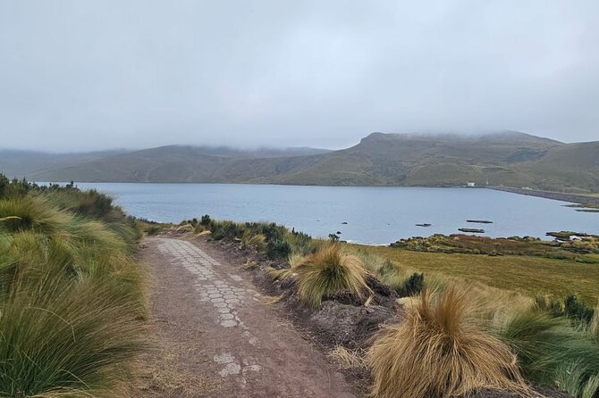 1-Day Spotting the Andean Condor by Antisana Volcano - Tour Itinerary and Highlights