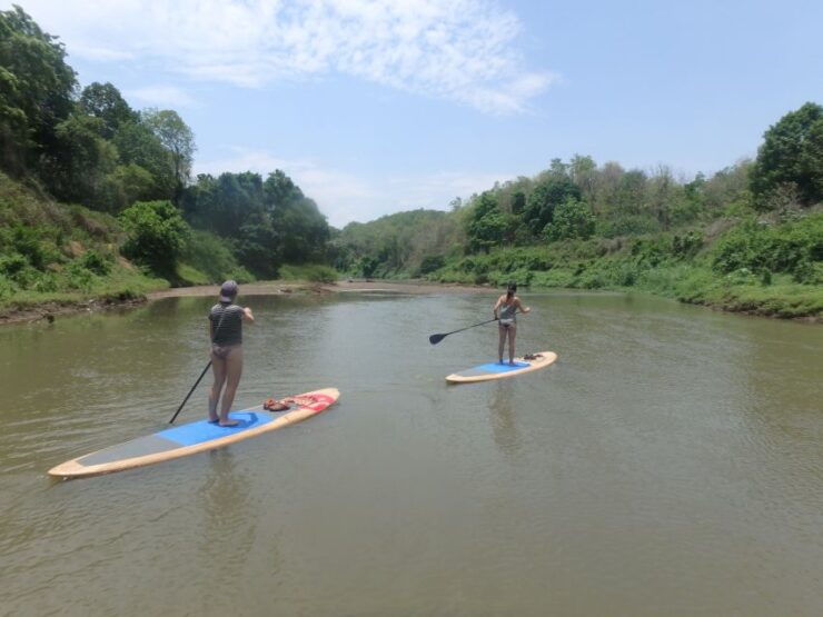 1-Day Stand Up Paddle Boarding on the Mae Ping River - Experience Description