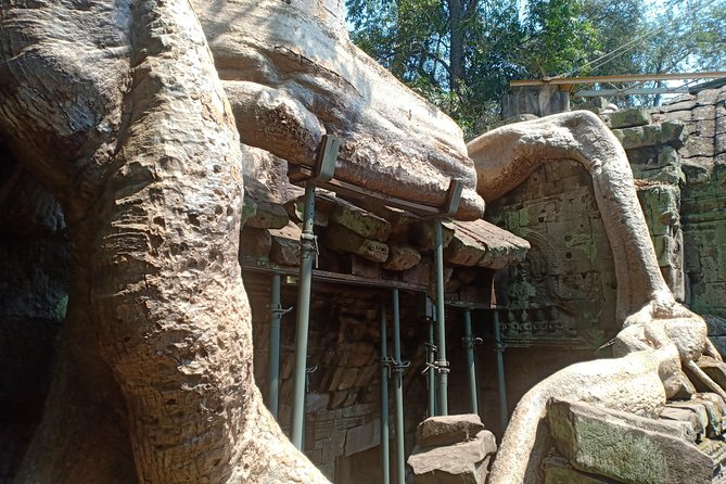 1 Day-Temple Tours + Sunrise - Tour Details