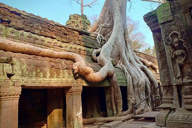 1 Day-Temple Tours + Sunrise - Meeting and Pickup Information