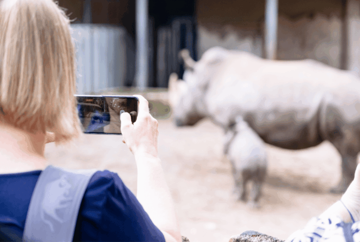 1-day ticket for Schwerin Zoo - FAQ