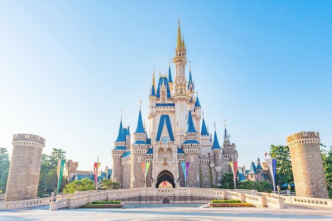 1 Day Ticket to Tokyo Disneyland With Private Transfer - Pricing and Booking Details