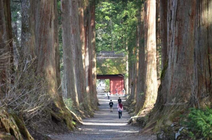 1-Day Togakushi: Soba Making, Ninja Town and Hidden Shrines - Good To Know