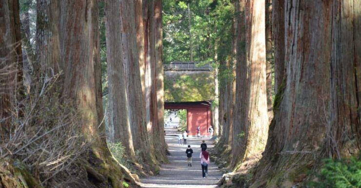 1-Day Togakushi: Soba Making, Ninja Town and Hidden Shrines - Soba Making Experience
