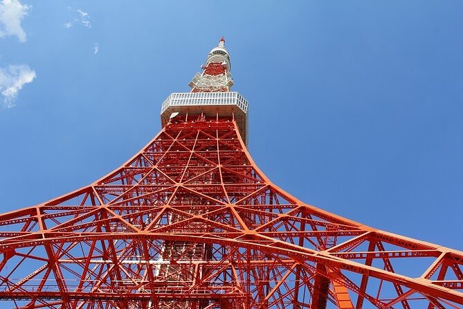 1-Day Tokyo Bus Tour With Lunch - Itinerary and Logistics