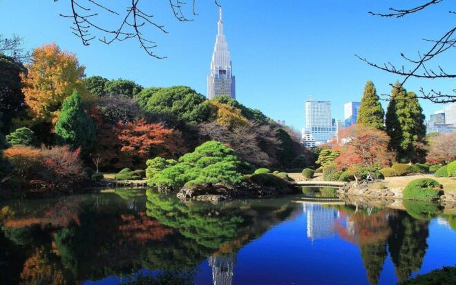 1-Day Tokyo Essence: Temples, Towers & Tradition Tour - Customer Experiences