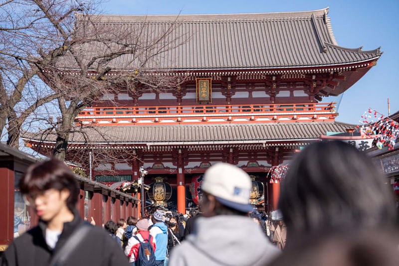 1-Day Tokyo Highlights Tour with a Private Car and Guide - Hama-rikyu offers a garden pause