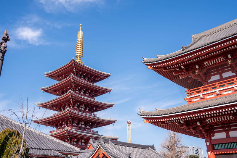 1-Day Tokyo Highlights Tour with a Private Car and Guide - Shibuya closes the day with a city-scale view