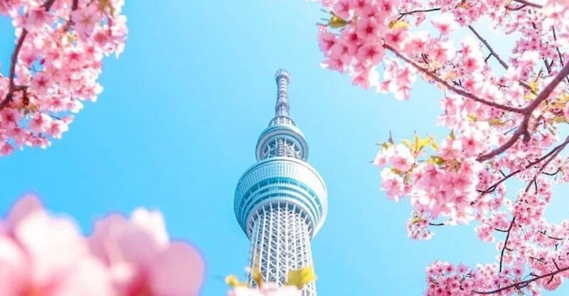 1-Day Tokyo Private Customizable Day Tour with a Guide - Good To Know