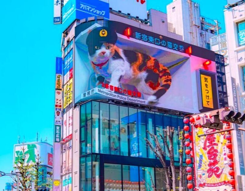 1-Day Tokyo Private Customizable Day Tour with a Guide - An In-Depth Look at the Itinerary