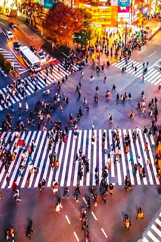 1-Day Tokyo Private Customizable Day Tour with a Guide - FAQs