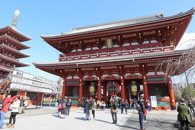 1 Day Tokyo Private Tour With English & Hindi Speaking Driver - Inclusions and Accessibility