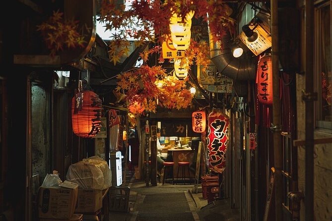 1 Day Tokyo Private Tour With English & Hindi Speaking Driver - Booking Information