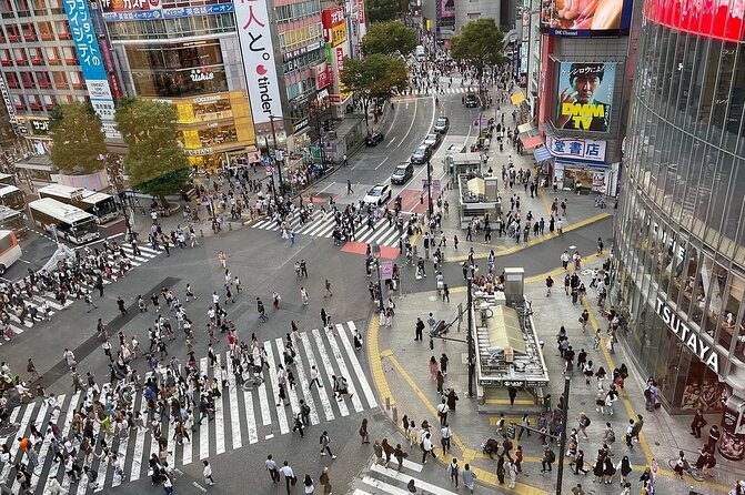 1 Day Tokyo Private Tour With English & Hindi Speaking Driver - The Sum Up