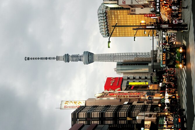 1 Day Tokyo Private Tour With English Speaking Guide - Reviews and Ratings