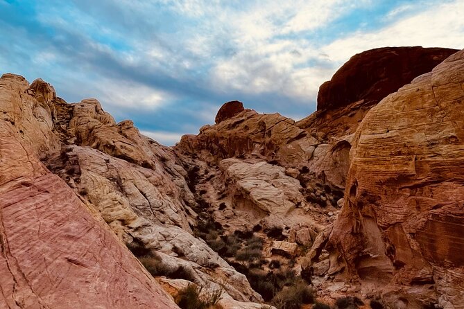 1 Day Tour at Valley of Fire and Zion Park - Park Details and Options