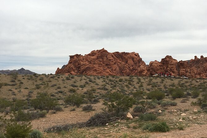 1 Day Tour at Valley of Fire and Zion Park - Tips for a Successful Tour