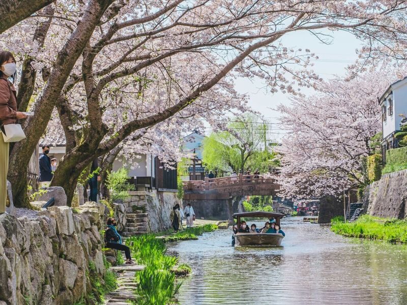 1-Day Tour: Castles & Canals in Hikone & Omi Hachiman (from Nagoya) - Key points to know