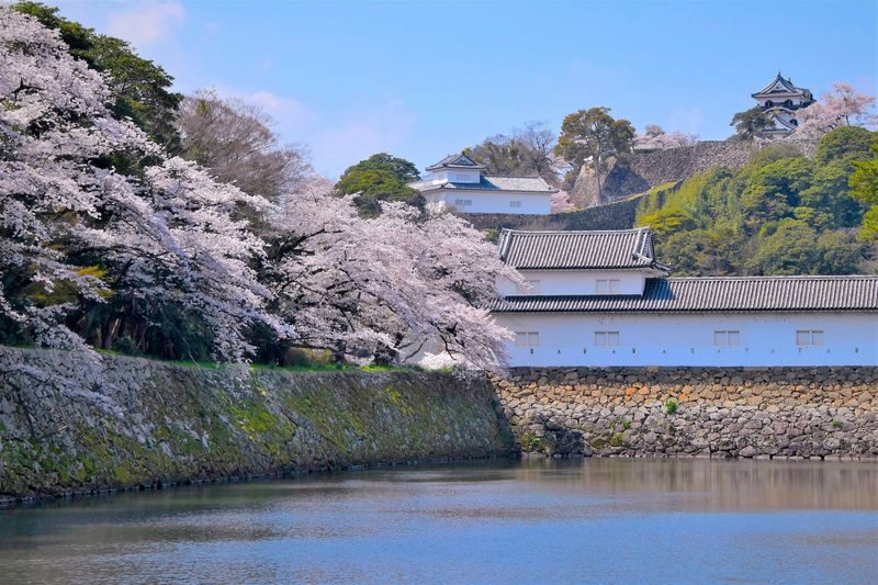 1-Day Tour: Castles & Canals in Hikone & Omi Hachiman (from Nagoya) - Lunch and shops on Yume Kyobashi Castle Road