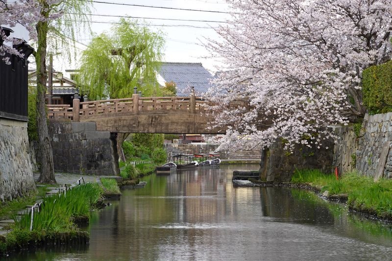 1-Day Tour: Castles & Canals in Hikone & Omi Hachiman (from Nagoya) - What the price includes, and what it does not