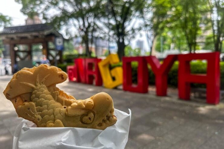 1-Day Tour: Eat Like a Local in Nagoya - Good To Know