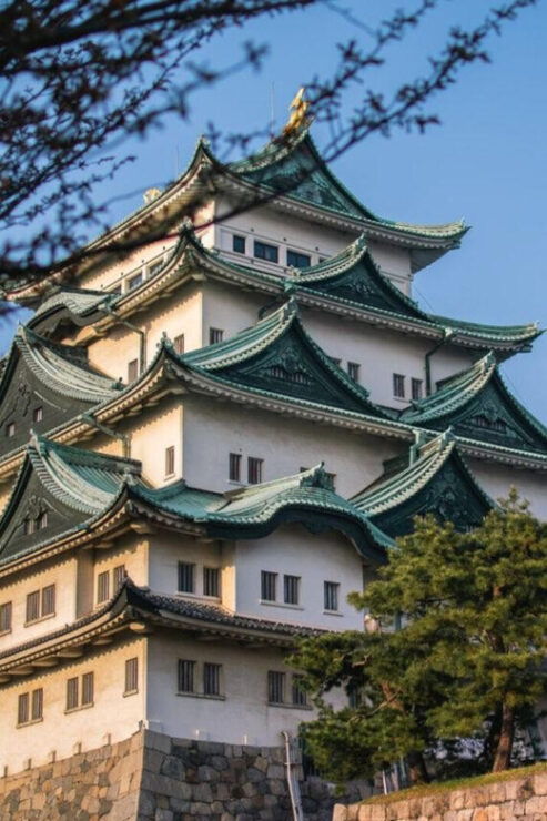 1-Day Tour: Eat Like a Local in Nagoya - Itinerary Highlights