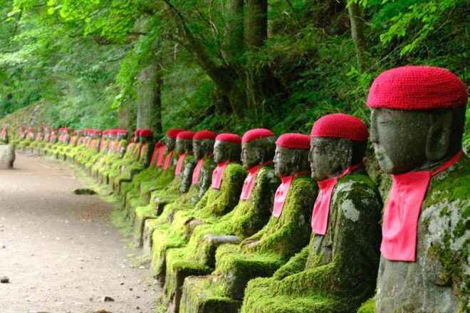 1 Day Tour: Explore Nikko's World Heritage and National Park - Inclusions and Exclusions