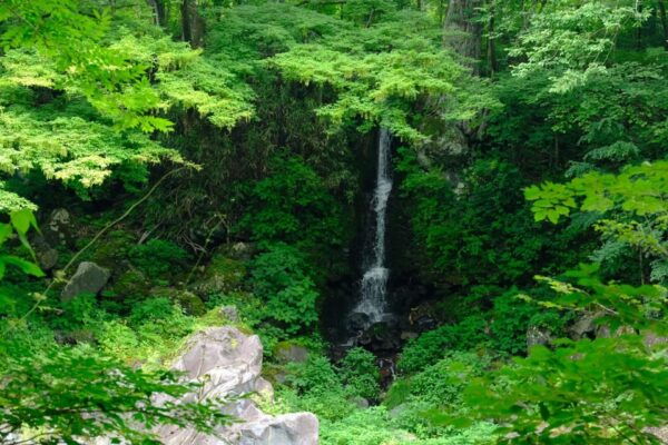 1 Day Tour: Explore Nikko's World Heritage and National Park - Frequently Asked Questions