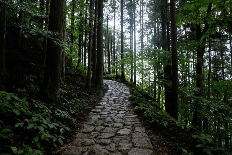 1-Day Tour from Nagoya: Hiking the Historic Nakasendo Trail - Walking the 8 km Nakasendo section
