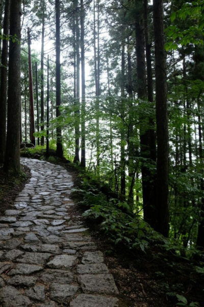 1-Day Tour From Nagoya: Hiking the Historic Nakasendo Trail - What to Expect