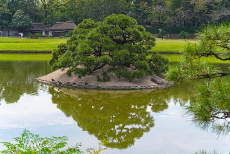 1-Day Tour from Okayama: Kurashiki, Gardens & Okayama Castle - An In-Depth Look at the Tour Experience