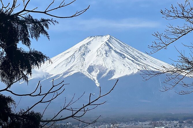 1 Day Tour Mt Fuji Lake Kawaguchiko English Speaking Driver Guide - Pickup and Transportation