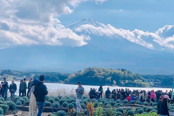 1 Day Tour Mt Fuji Lake Kawaguchiko English Speaking Driver Guide - Customizability and Flexibility
